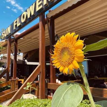 Sun Flower Apart Hotel Side Dış mekan fotoğraf
