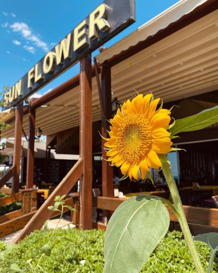 Sun Flower Apart Hotel Side Dış mekan fotoğraf